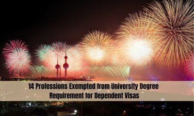 14 Professions Exempted from University Degree Requirement for Dependent Visas